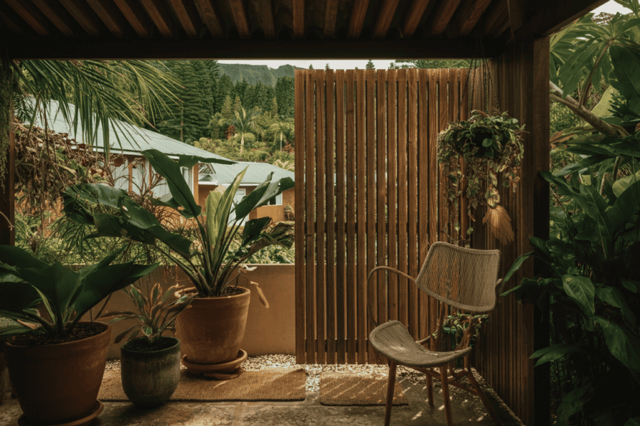 Plantes d&rsquo;intérieur : Guide pour chouchouter ses monsteras