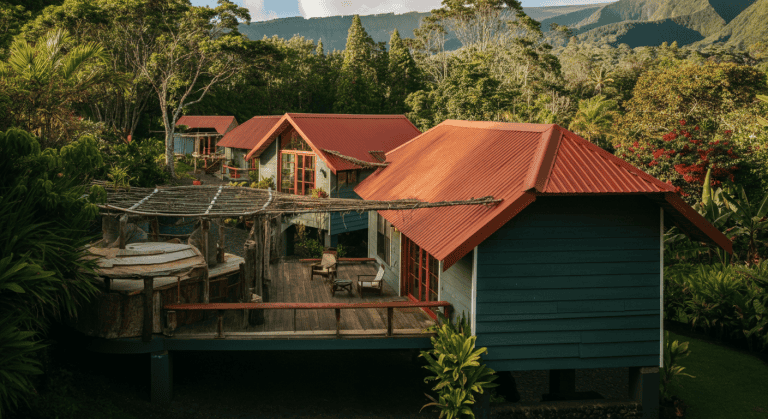 Écolodges aux toits rouges en forêt tropicale