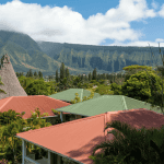 Team Building : Organiser un séminaire d&rsquo;entreprise à La Réunion