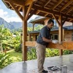 Lutte contre les termites à La Réunion : Barrières préventives et traitements